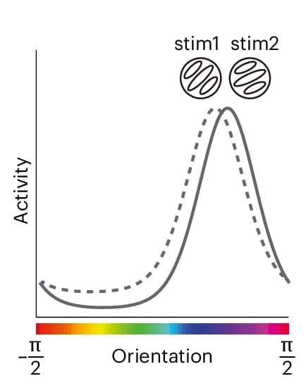 Open access visualization of Line Plot, Density Plot, Neural Space, Signal Enhancement, Euclidean Distance