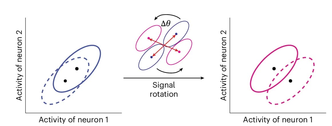 Open access visualization of Scatter Plot, Signal Rotation, Manifolds, Training