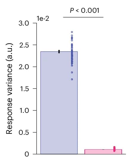 Open access visualization of Bar Plot, Error Bars, Scatter Plot, Training, Response Variance