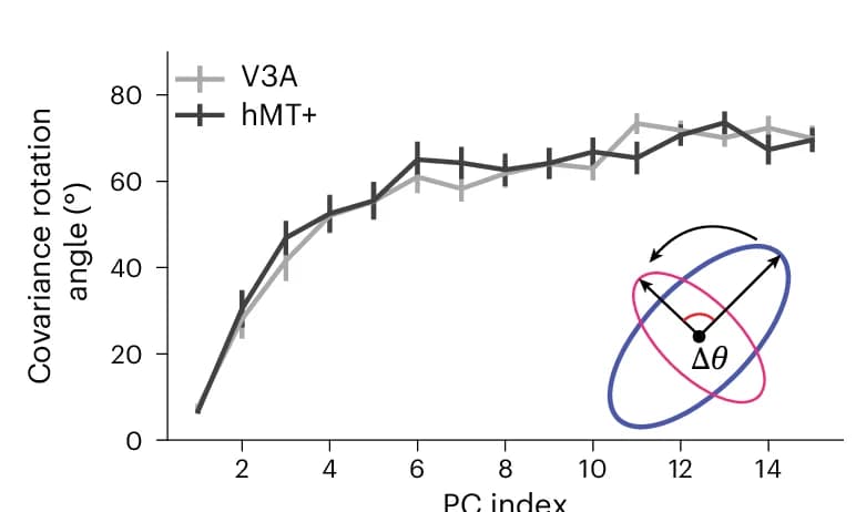 Open access visualization of Line Plot, Error Bars, Motion DCNNs, Motion Direction, Discrimination Training