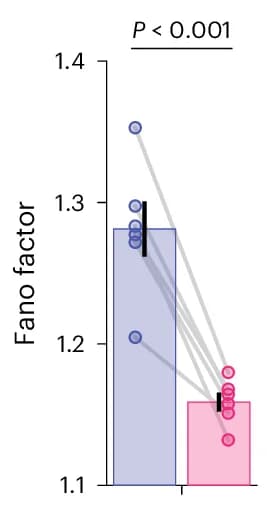 Open access visualization of Bar Plot, Error Bars, Scatter Plot, VPL, DCNNs