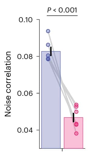 Open access visualization of Bar Plot, Error Bars, Scatter Plot, VPL, DCNNs