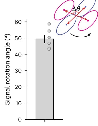 Open access visualization of Bar Plot, Error Bars, Scatter Plot, Signal Rotation