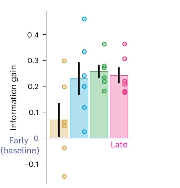 Open access visualization of Bar Plot, Error Bars, Scatter Plot, Stepwise Information Analyses, Firing Rate