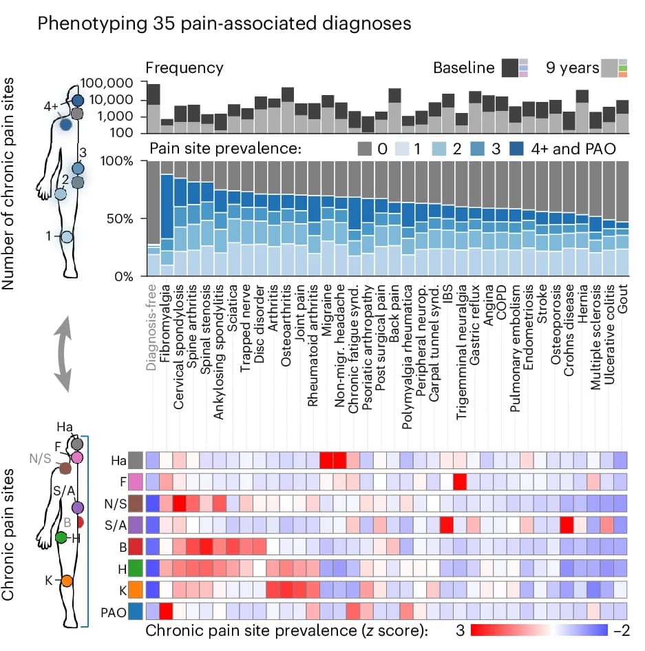Open access visualization of Bar Plot, Stacked Bar Plot, Heatmap, Chronic Pain, Pain Diagnoses