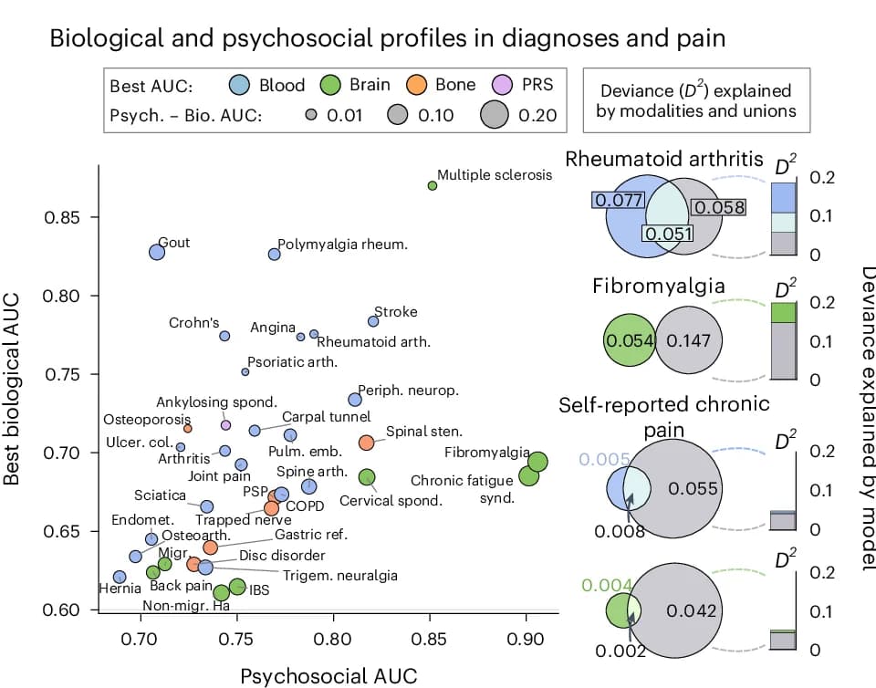 Open access visualization of Scatter Plot, Bubble Plot, Bar Plot, Venn Diagram, AUC Scores