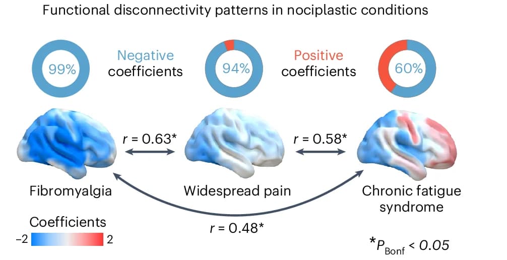 Open access visualization of Pie Chart, 3D Plot, Donut Plots, Structure Coefficients, Nociplastic Conditions