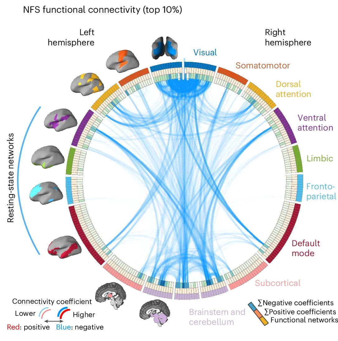 Open access visualization of Chord, Circos Plot, Connectivity Links, Structure Coefficients, Nociplastic Signature