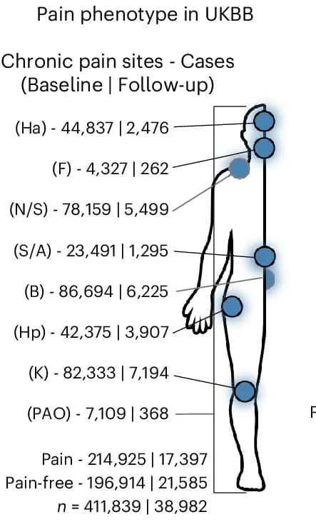 Open access visualization of Illustration, Anatomical Body Map, Chronic Pain Sites