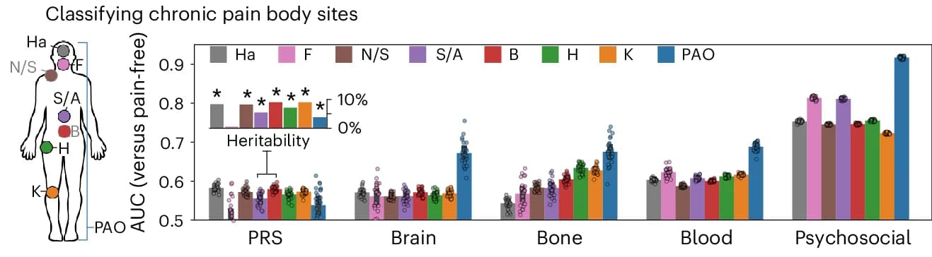 Open access visualization of Bar Plot, Scatter Plot, Error Bars, Clustered, Body Map