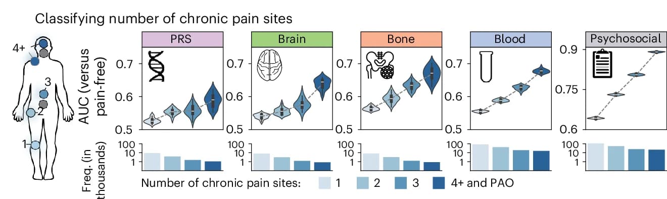Open access visualization of Violin Plot, Bar Plot, Line Plot, Body Map, Chronic Pain Sites
