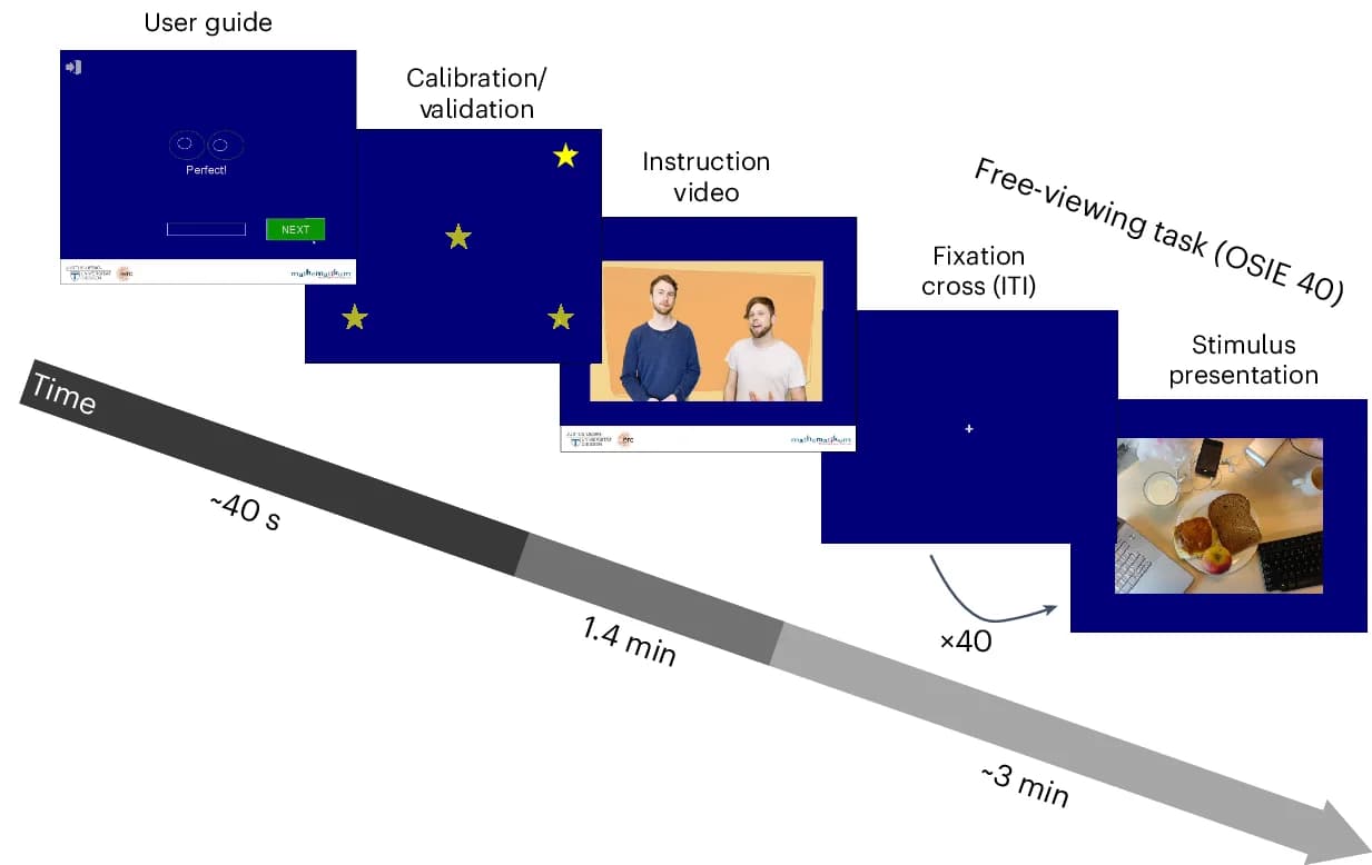 Open access visualization of Workflow, Experimental Procedure, Inter-Trial Interval, Software