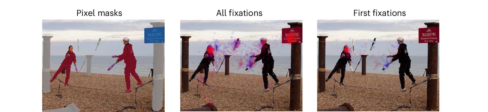 Open access visualization of Photo, Scatter Plot, Pixel Masks, Fixation Overlays, Image