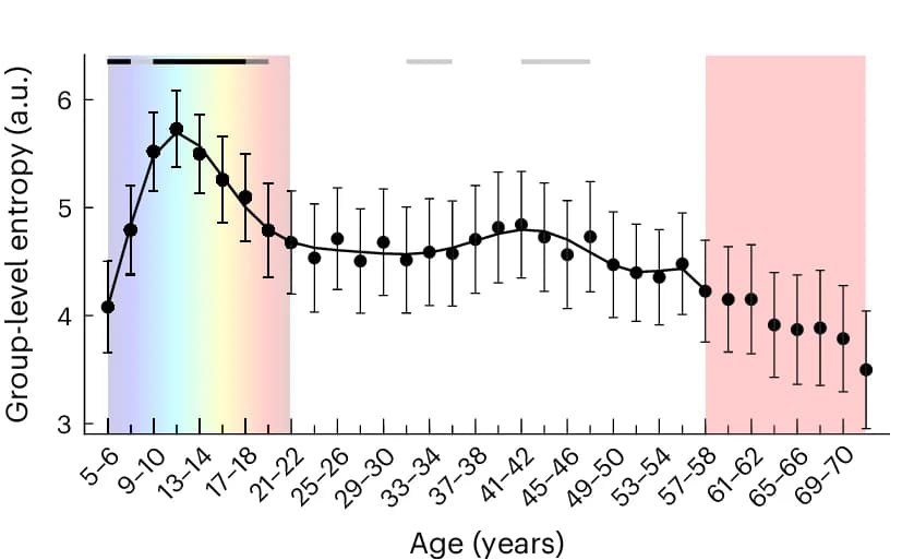 Open access visualization of Line Plot, Error Bars, Entropy, Fixation Maps, Age Bins
