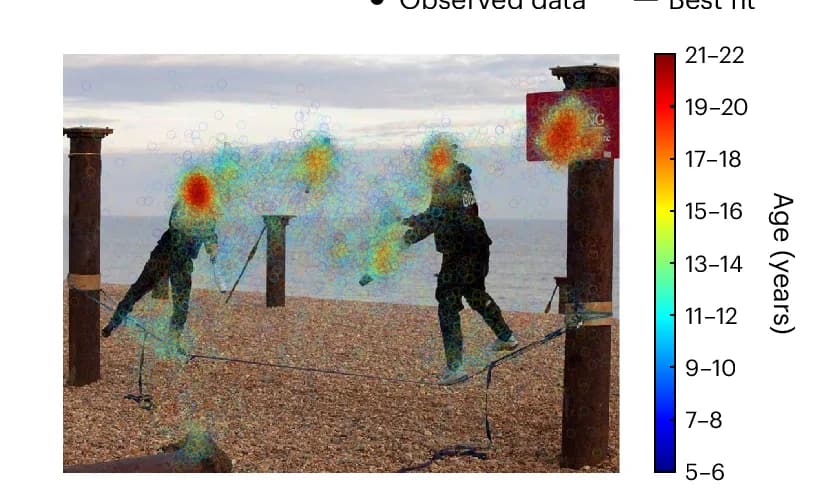 Open access visualization of Scatter Plot, Fixation Data, Observers, Age Groups, Dispersion