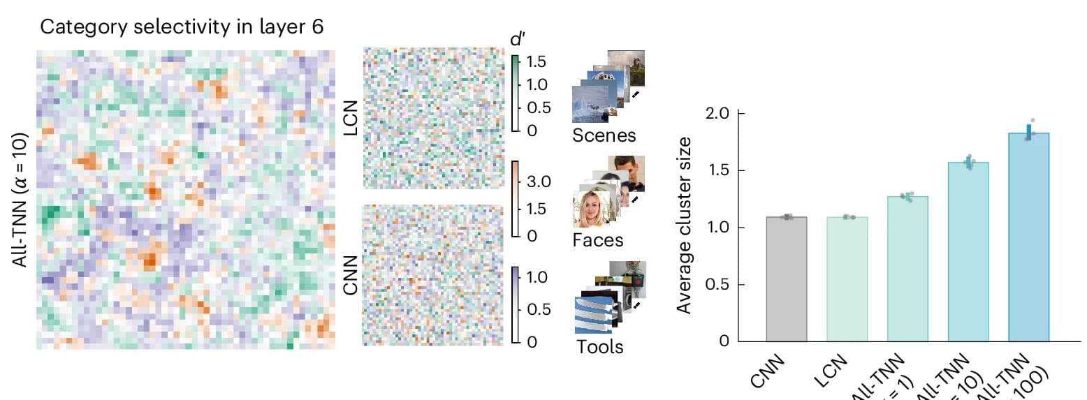 Open access visualization of Bar Plot, Error Bars, Heatmap, Network Layer Selectivity, Visual Categories