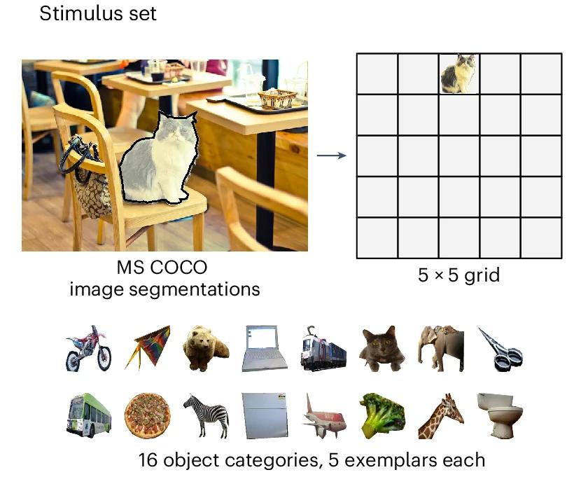 Open access visualization of Photo, Stimuli, Behavioral Experiment, COCO, Object Categories