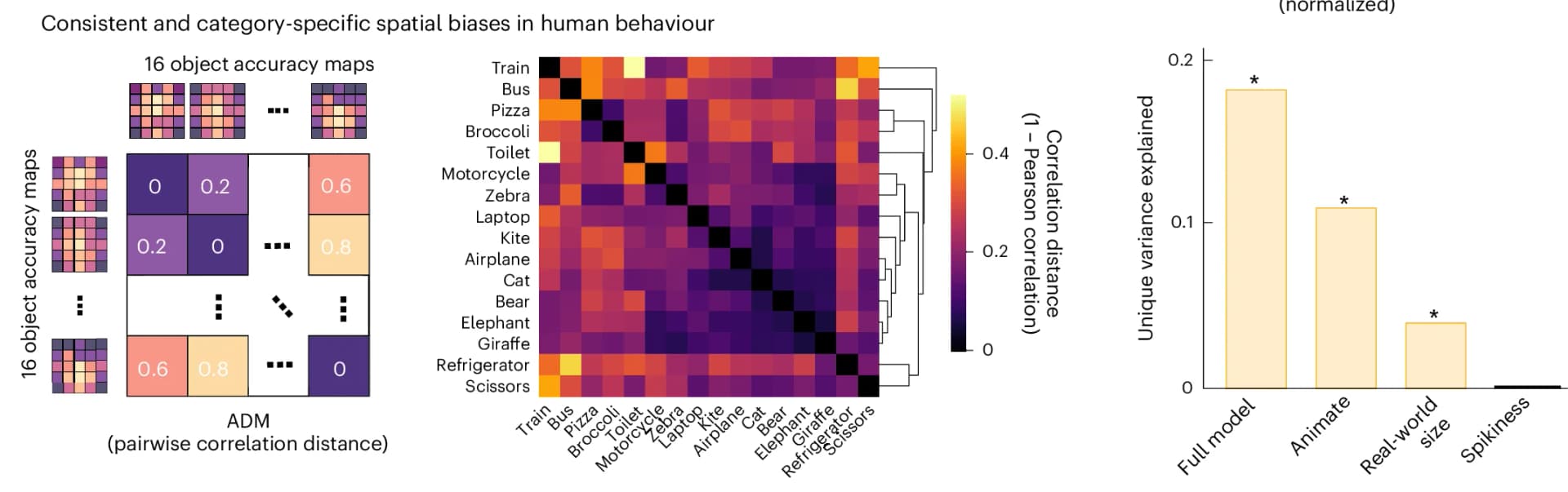 Open access visualization of Heatmap, Clustered, Bar Plot, Accuracy Maps, Pearson Correlation Distance