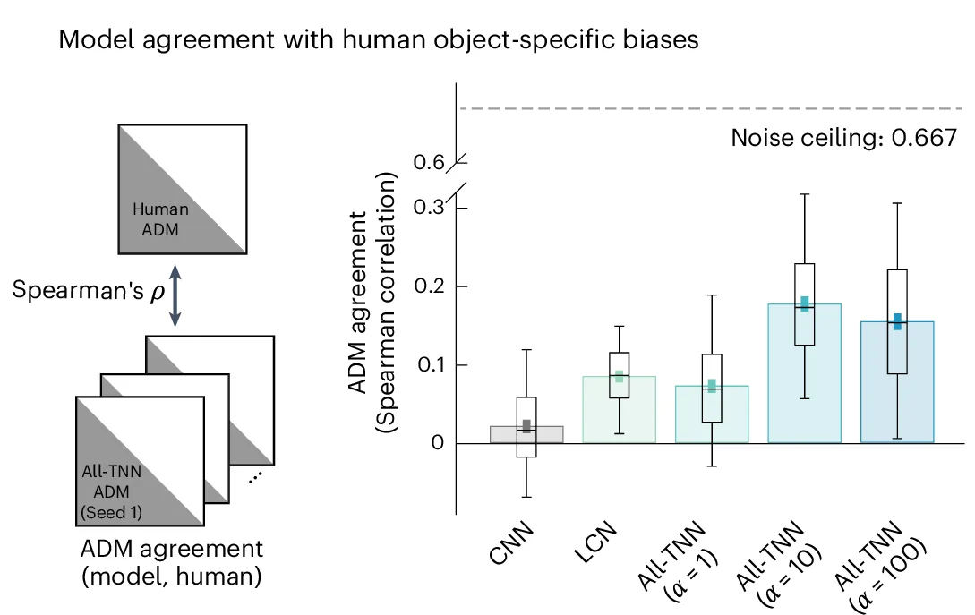 Open access visualization of Bar Plot, Error Bars, Box Plot, Spearman Correlation, Human ADM