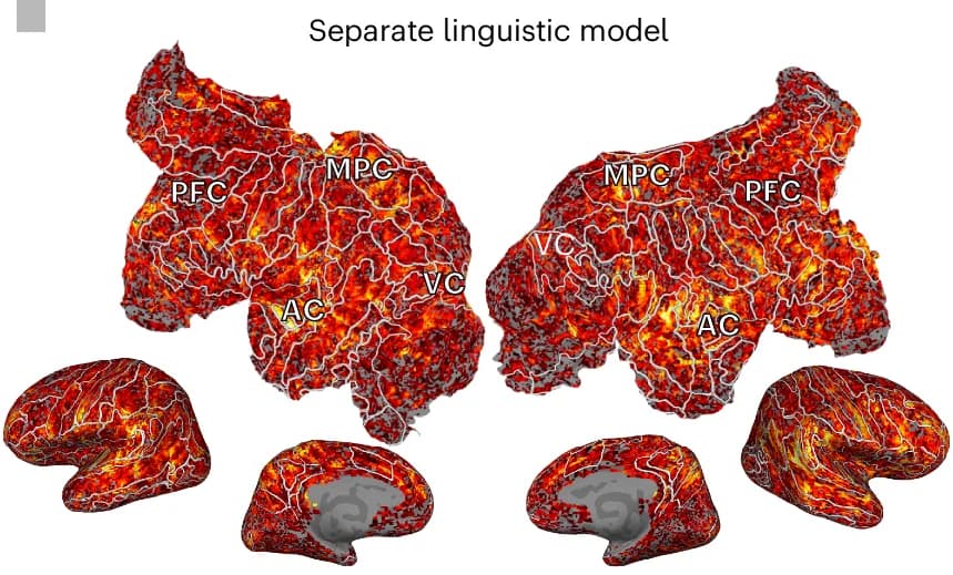 Open access visualization of 3D Plot, Protein Structure, Prediction Accuracy, Linguistic Model, Cortical Surface