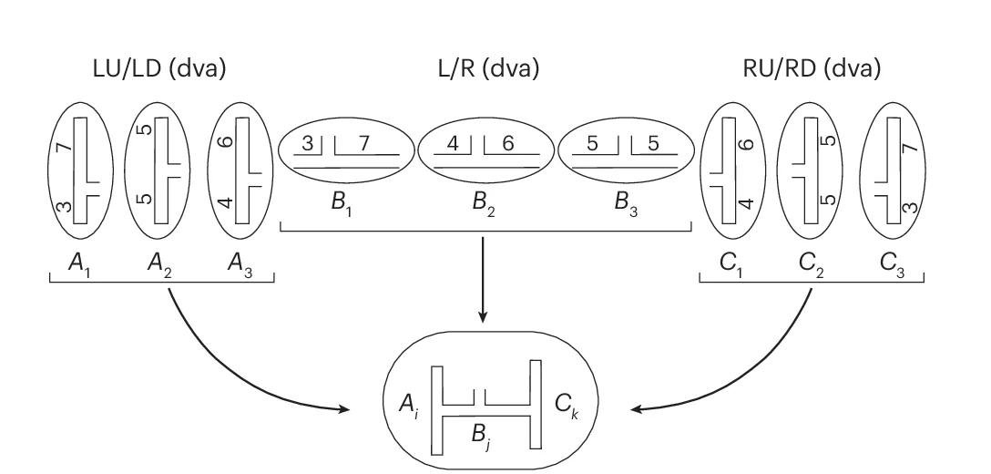 Open access visualization of Workflow, Flowchart, H-Maze, Arm Length Combinations
