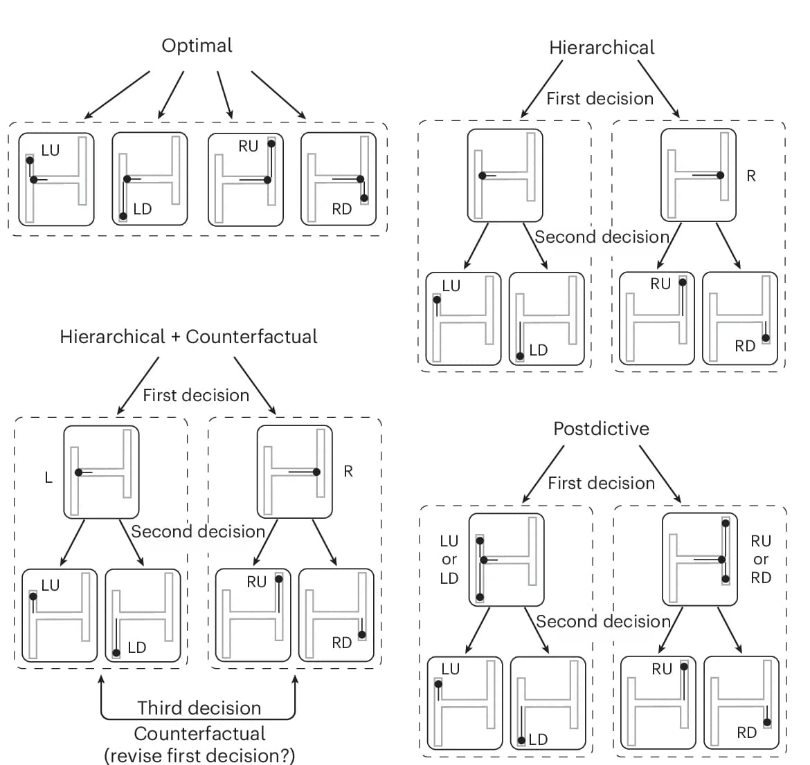 Open access visualization of Workflow, Flowchart, Computational Strategies, H-Maze Task, Optimal Model