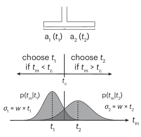 Open access visualization of Density Plot, T-Maze, Timing Variability, Weber Fraction, Likelihood Functions