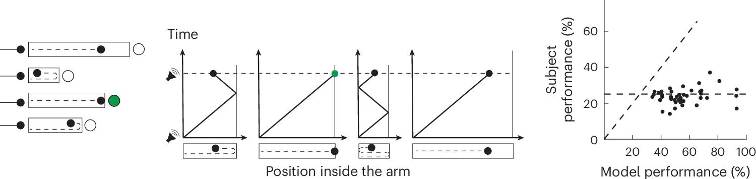 Open access visualization of Scatter Plot, Line Plot, H-maze, Auditory Cue, Binary Visual Feedback