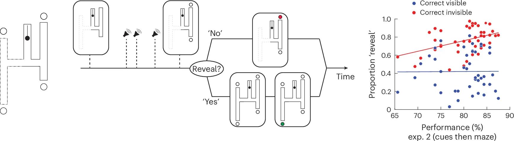 Open access visualization of Scatter Plot, Regression Plot, Workflow, H-Maze, Auditory Cues