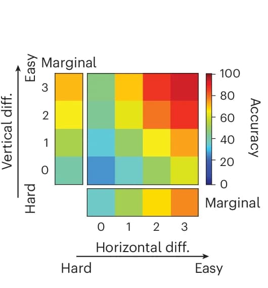 Open access visualization of Heatmap, Behavioral Performance, RNN, Accuracy, Horizontal Arms