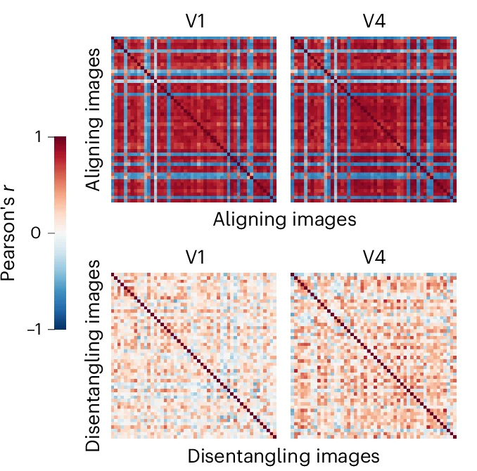 Open access visualization of Heatmap, V1, V4, Participant-Average RSMs, Multivariate RNC