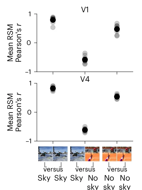 Open access visualization of Scatter Plot, Error Bars, V1, V4, Aligning Image