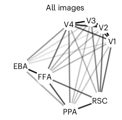 Open access visualization of Network, Pathway, Chord, MDS Embeddings, In Silico