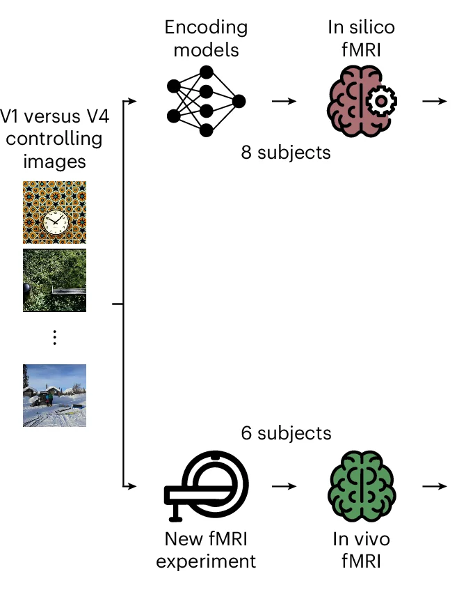 Open access visualization of Workflow, Flowchart, Images, Univariate, Multivariate