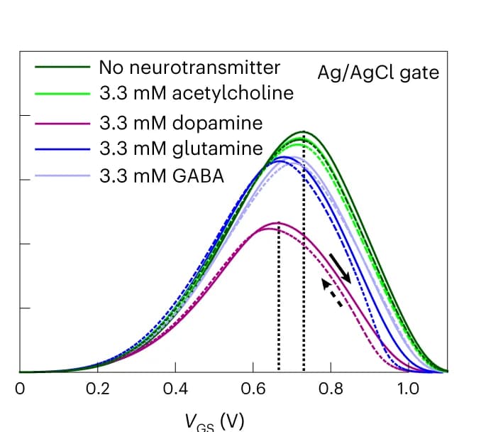 Open access visualization of Line Plot, Antiambipolar Behavior, Electrical Modulation, Chemical Modulation, Amino Acids