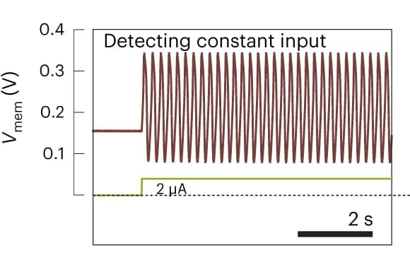 Open access visualization of Line Plot, Line Step, Tonic Spiking