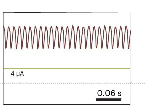 Open access visualization of Line Plot, Tonic Spiking, Frequency Modulation, Potassium Channels, Capacitance