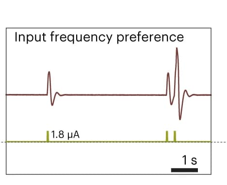 Open access visualization of Line Plot, Resonance