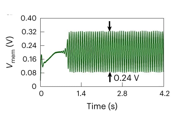 Open access visualization of Line Plot, c-OECN, NaCl concentration, Spiking