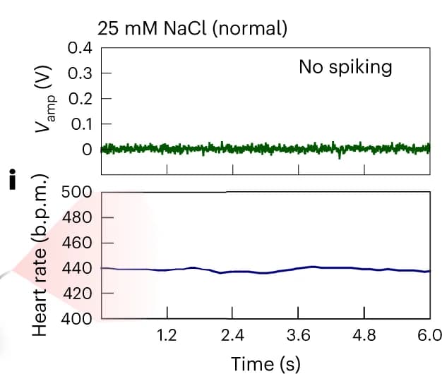 Open access visualization of Line Plot, Amplifier output, NaCl concentration