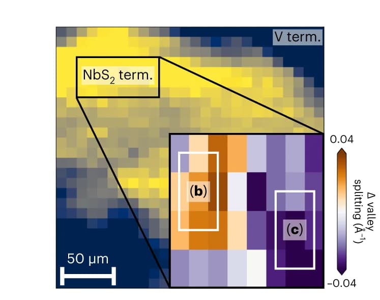 Open access visualization of Heatmap, Spatial Map, Spectral Weight, Surface State, Domains