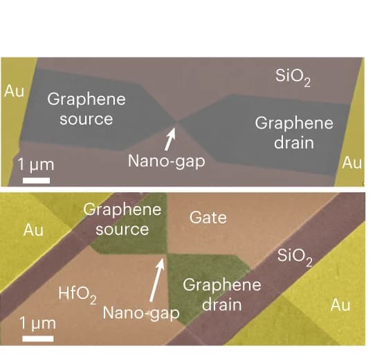 Open access visualization of Microscopy, Scanning Electron Microscopy, Devices