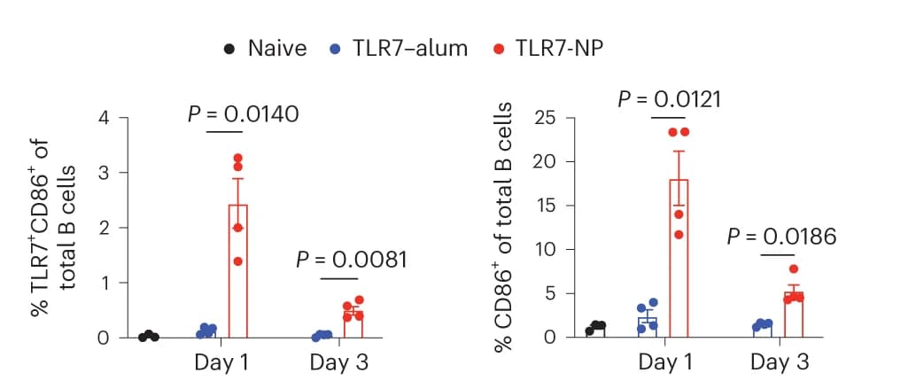 Open access visualization of Scatter Plot, Error Bars, B-Cell Uptake, B-Cell Activation, Flow Cytometry