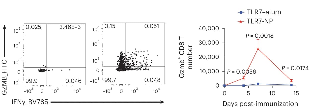 Open access visualization of Line Plot, Error Bars, Scatter Plot, Flow Cytometry Plots, Gzmb+ CD8+ T Cells