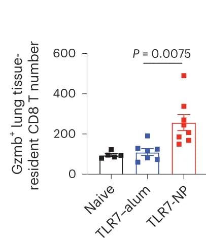Open access visualization of Bar Plot, Error Bars, Gzmb+ Lung Tissue-Resident CD8+ T Cells, TLR7-alum, TLR7-NP