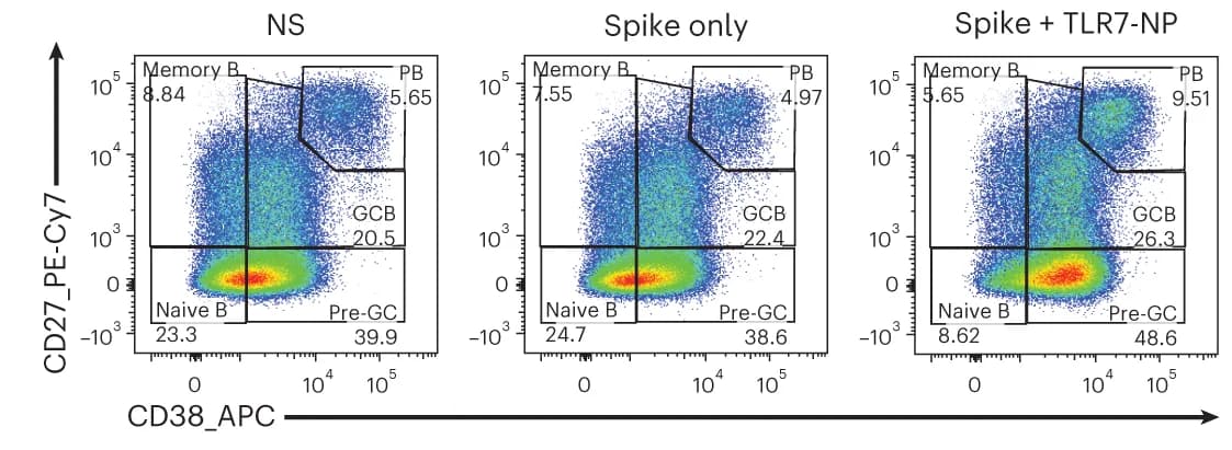 Open access visualization of Scatter Plot, Flow Cytometry, B-cell Phenotypes, Organoid Cultures, B Cells