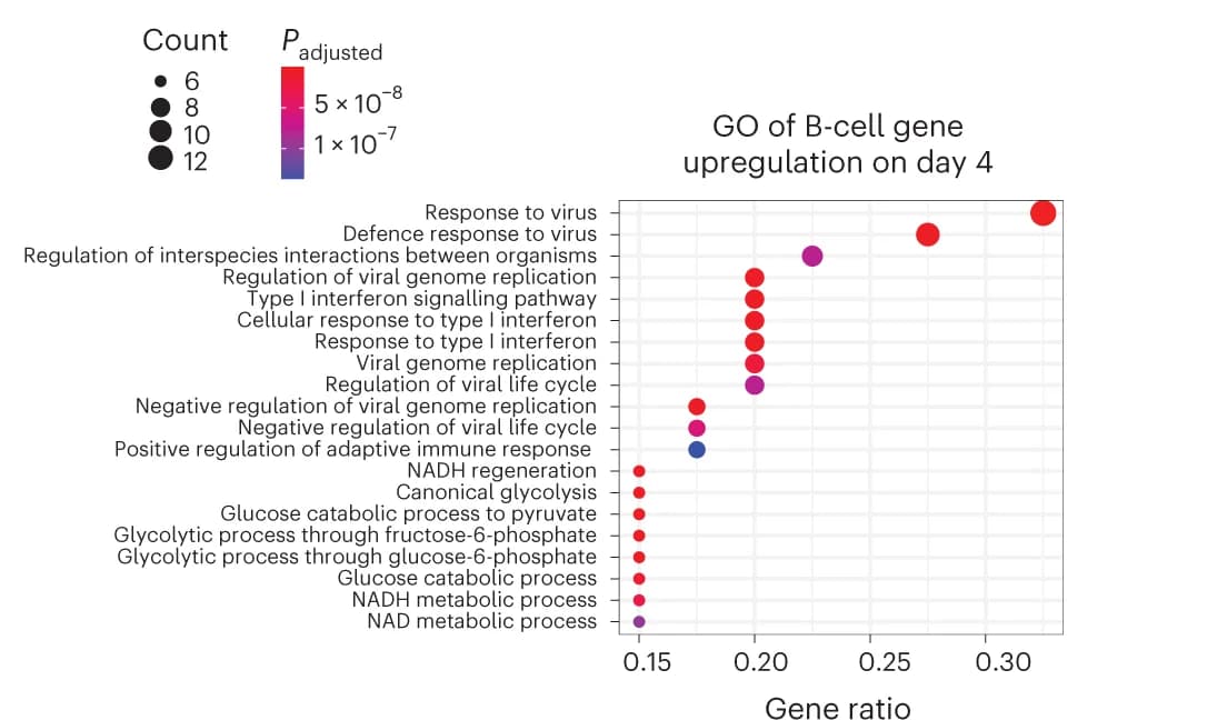 Open access visualization of Scatter Plot, Bubble Plot, Volcano Plot, B-cell Differentiation, Subclusters