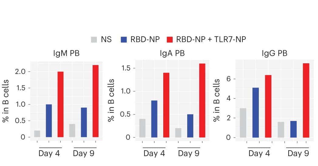 Open access visualization of Bar Plot, Clustered, Plasmablasts, Subclusters, scRNA-seq