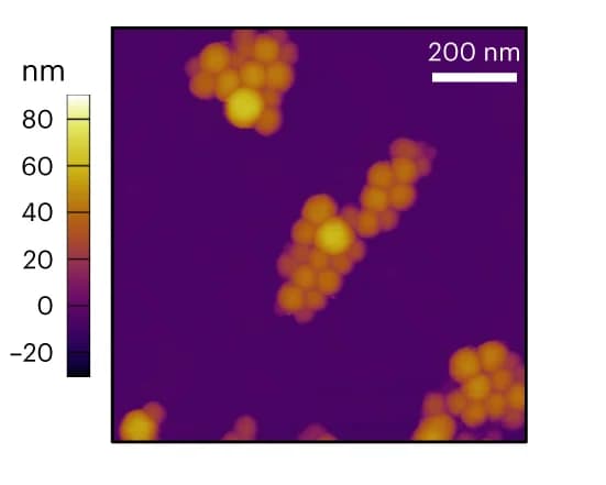Open access visualization of Microscopy, Atomic Force Micrograph, FiVis Nanoparticles