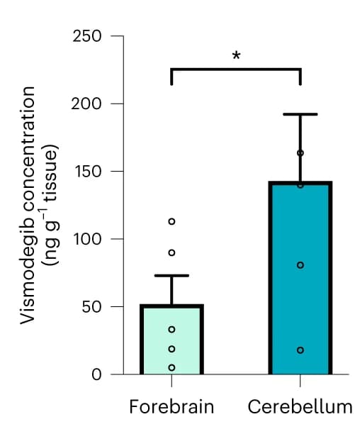 Open access visualization of Bar Plot, Error Bars, Liquid Chromatography-Tandem Mass Spectrometry, Vismodegib, Cerebellum